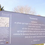 Margaret Michèle Cook. Tonnerre