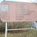 Marie-Claire Dugas. Sans titre Marie-Claire Dugas. Sans titre